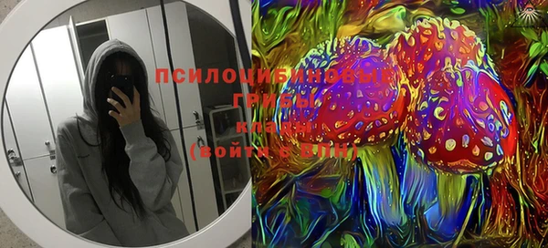 не бодяженный Гусиноозёрск