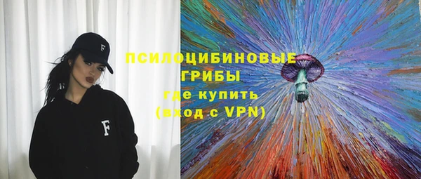 не бодяженный Гусиноозёрск