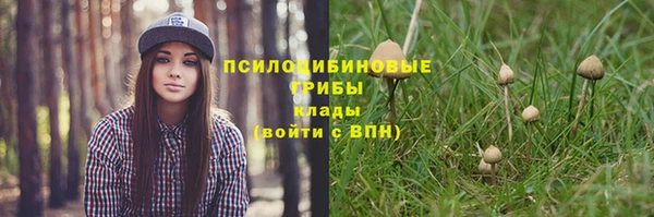 не бодяженный Гусиноозёрск