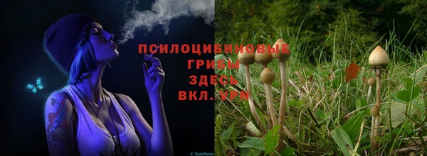не бодяженный Гусиноозёрск