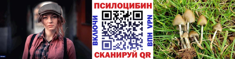 Псилоцибиновые грибы ЛСД  блэк спрут как войти  Черногорск 